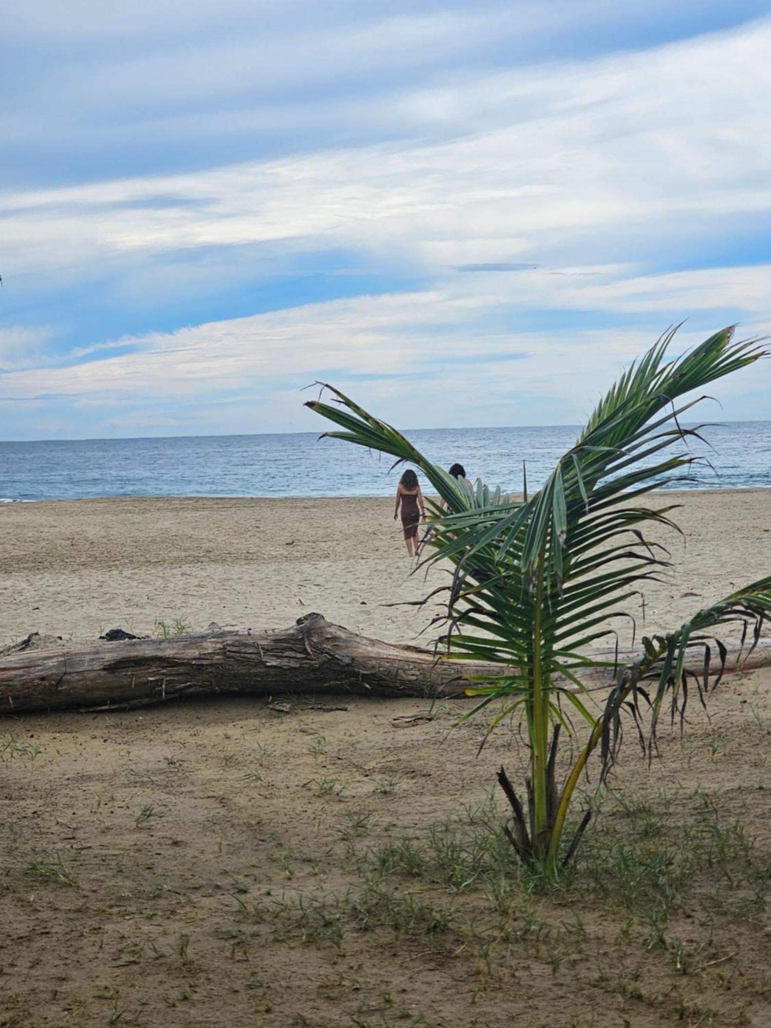 Turtle Beach Villas Zihuatanejo Exterior photo